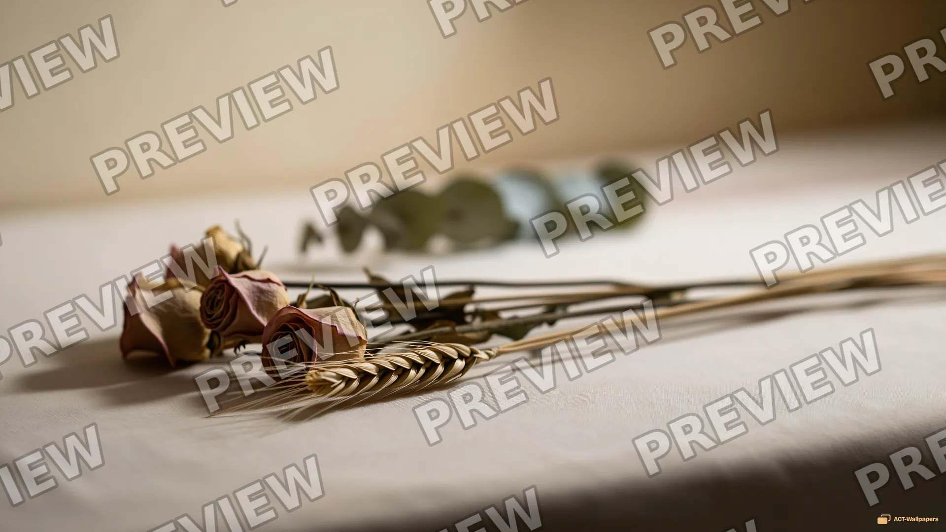 Dried Botanical Still Life — Dried flower arrangements 4K wallpaper