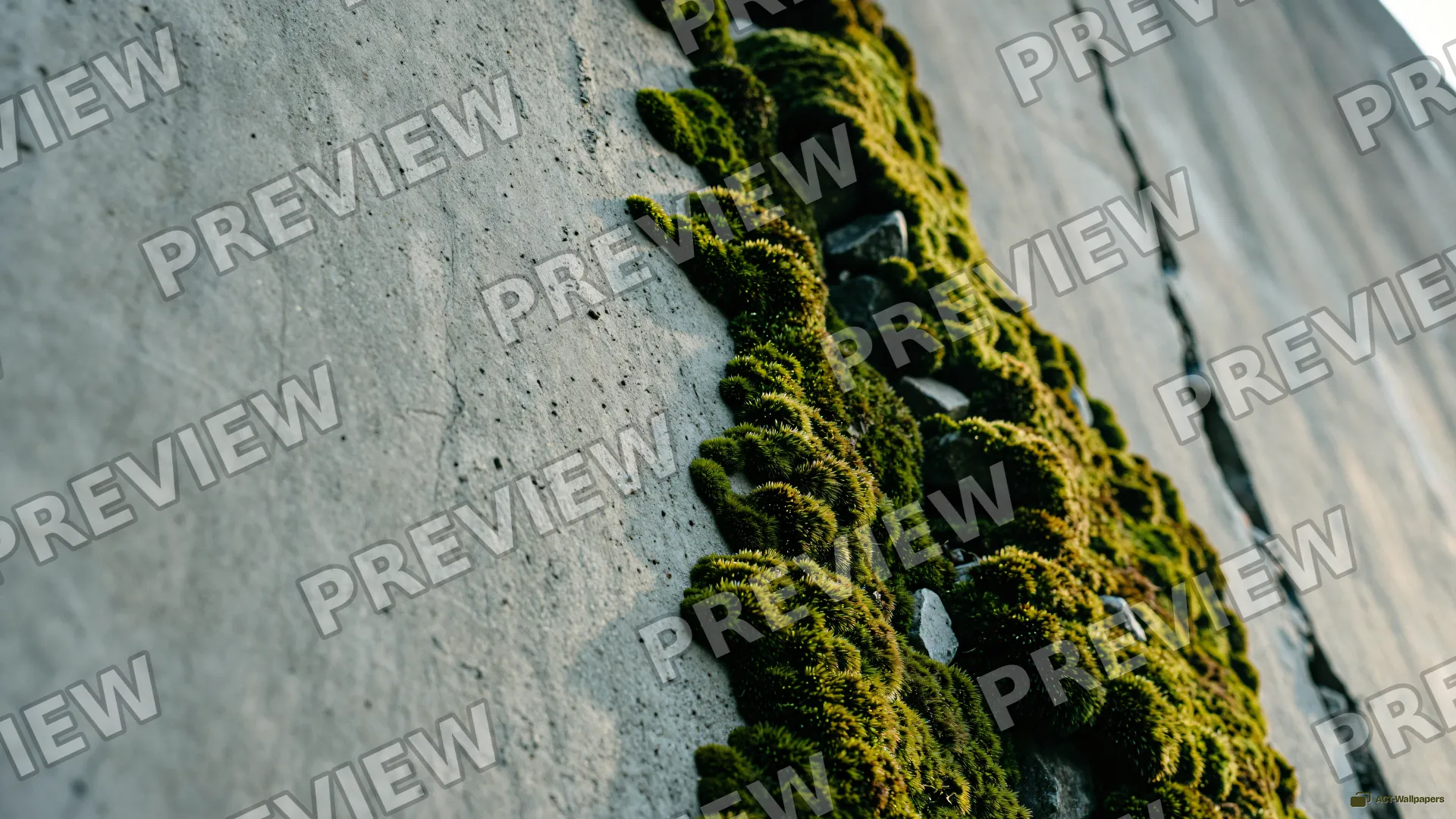 Vertical Concrete Moss — Rustic concrete texture 4K wallpaper