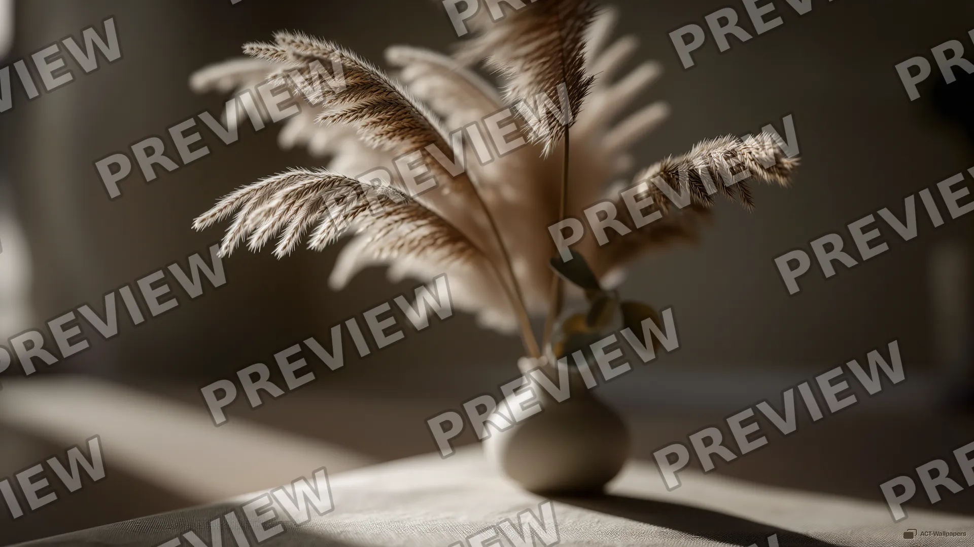 Dried Botanical Still Life — Dried flower arrangements 4K wallpaper