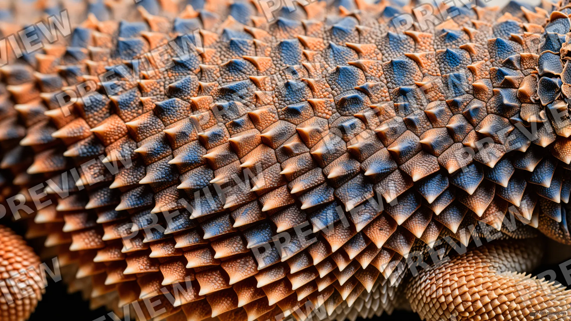 Bearded Dragon Scale Texture — Lizard scales 4K wallpaper