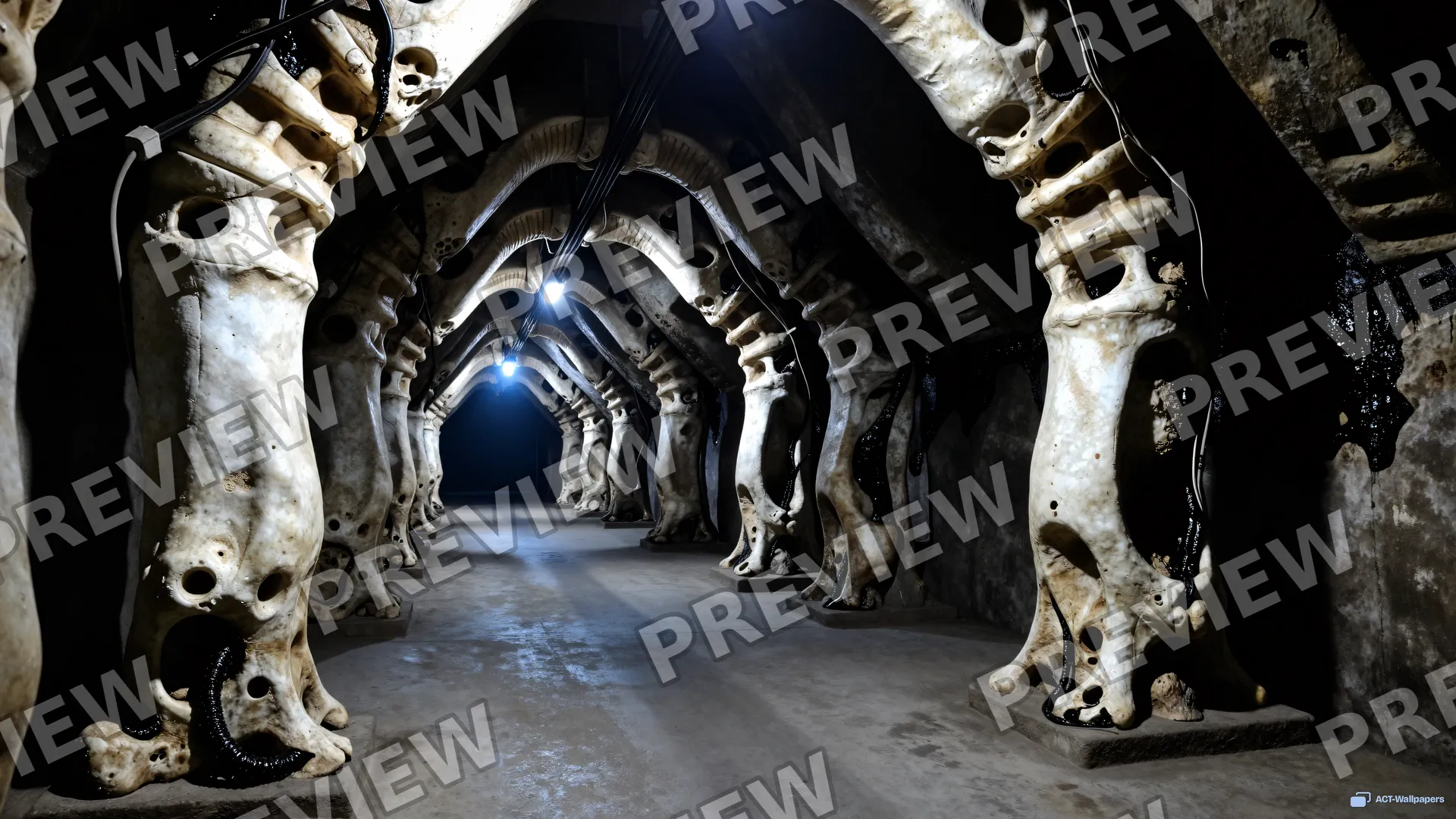 Skeletal Bone Corridor — Biomechanical 4K wallpaper