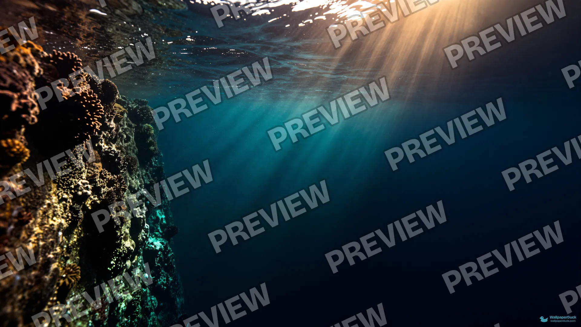 Reef Wall Light Shafts — Underwater 4K wallpaper