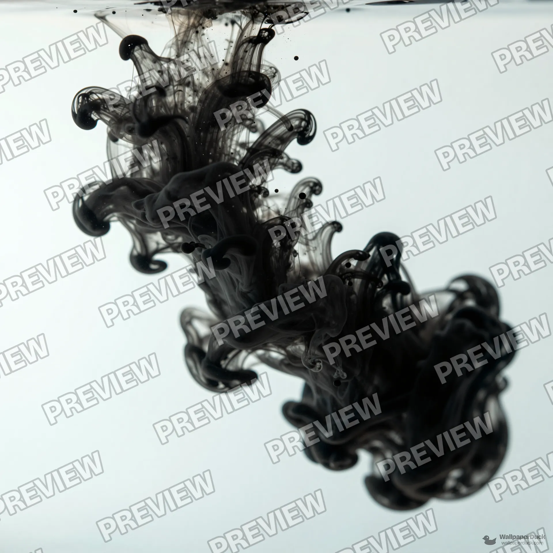 Ink Dispersion Study — Abstract fluid 4K wallpaper