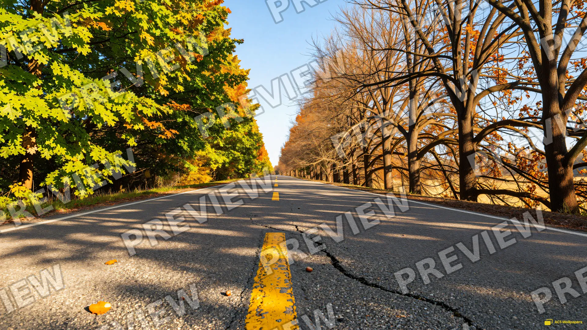 Two Seasons One Road — Two seasons 4K wallpaper