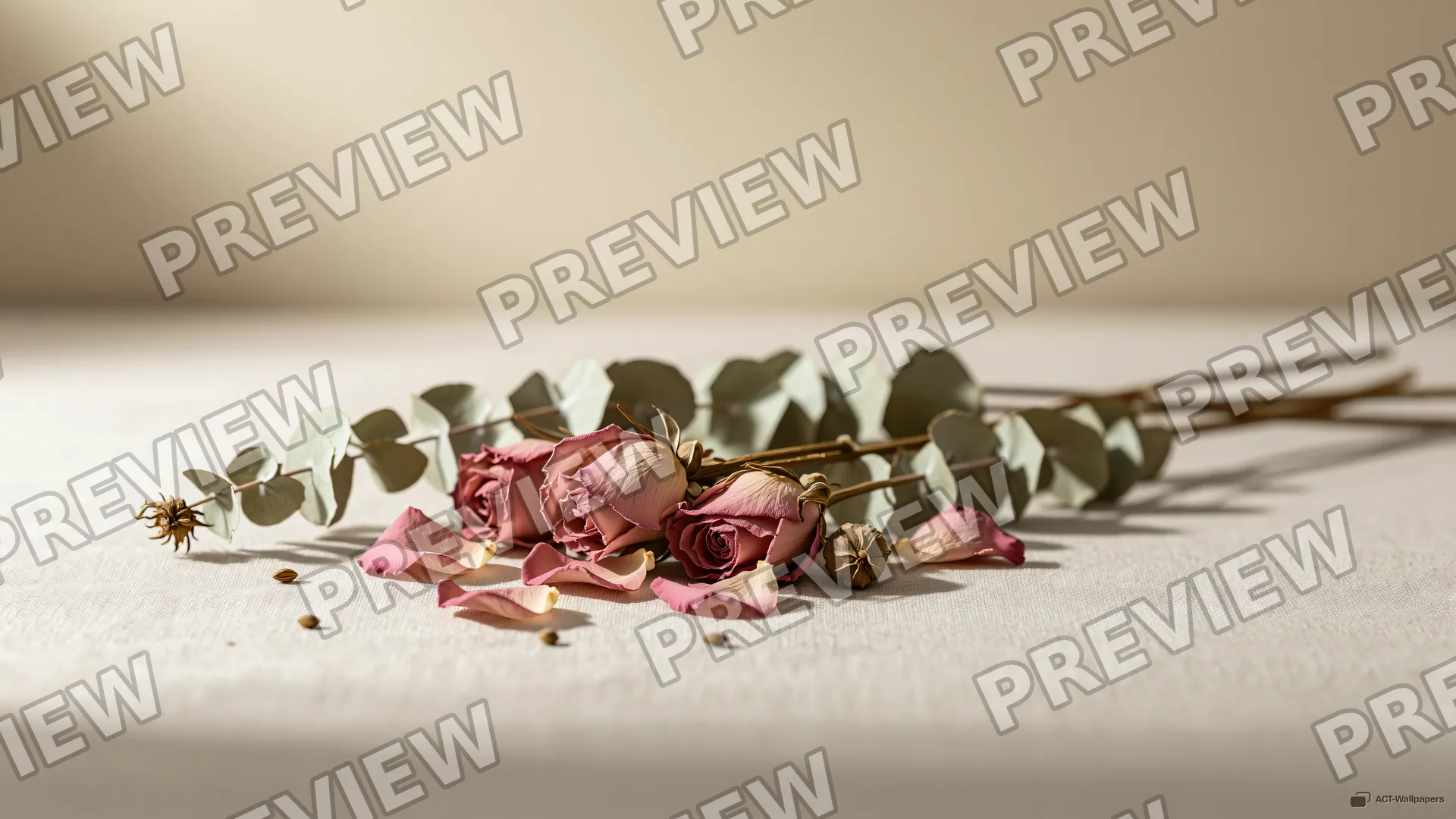 Dusty Rose and Linen Still Life — Dried flower arrangements 4K wallpaper