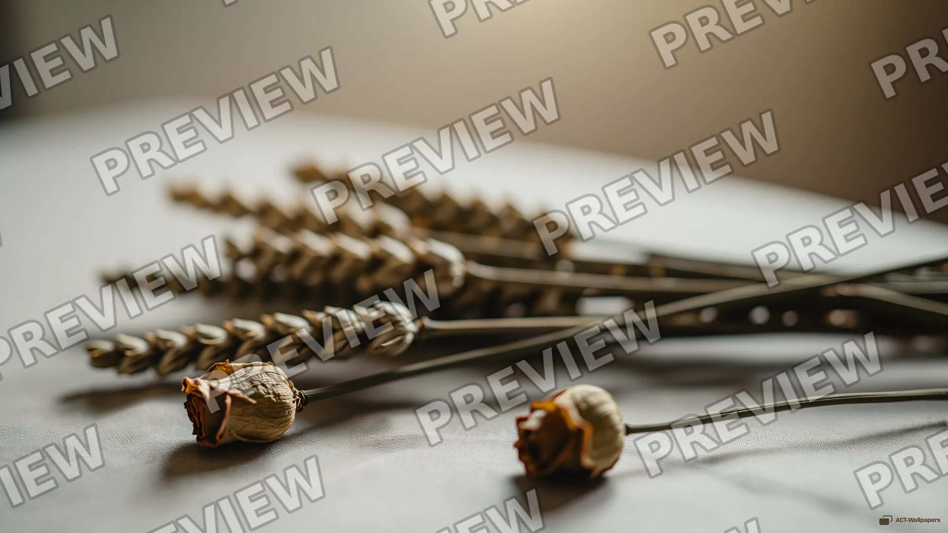 Dried Wheat and Linen Still Life — Dried flower arrangements 4K wallpaper