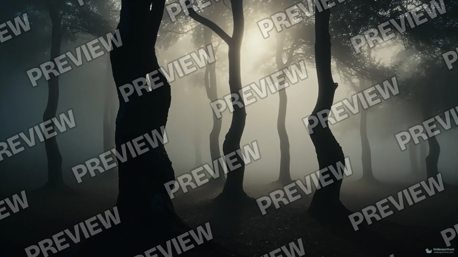 Skeletal Pines in Fog — Nature landscapes 4K wallpaper