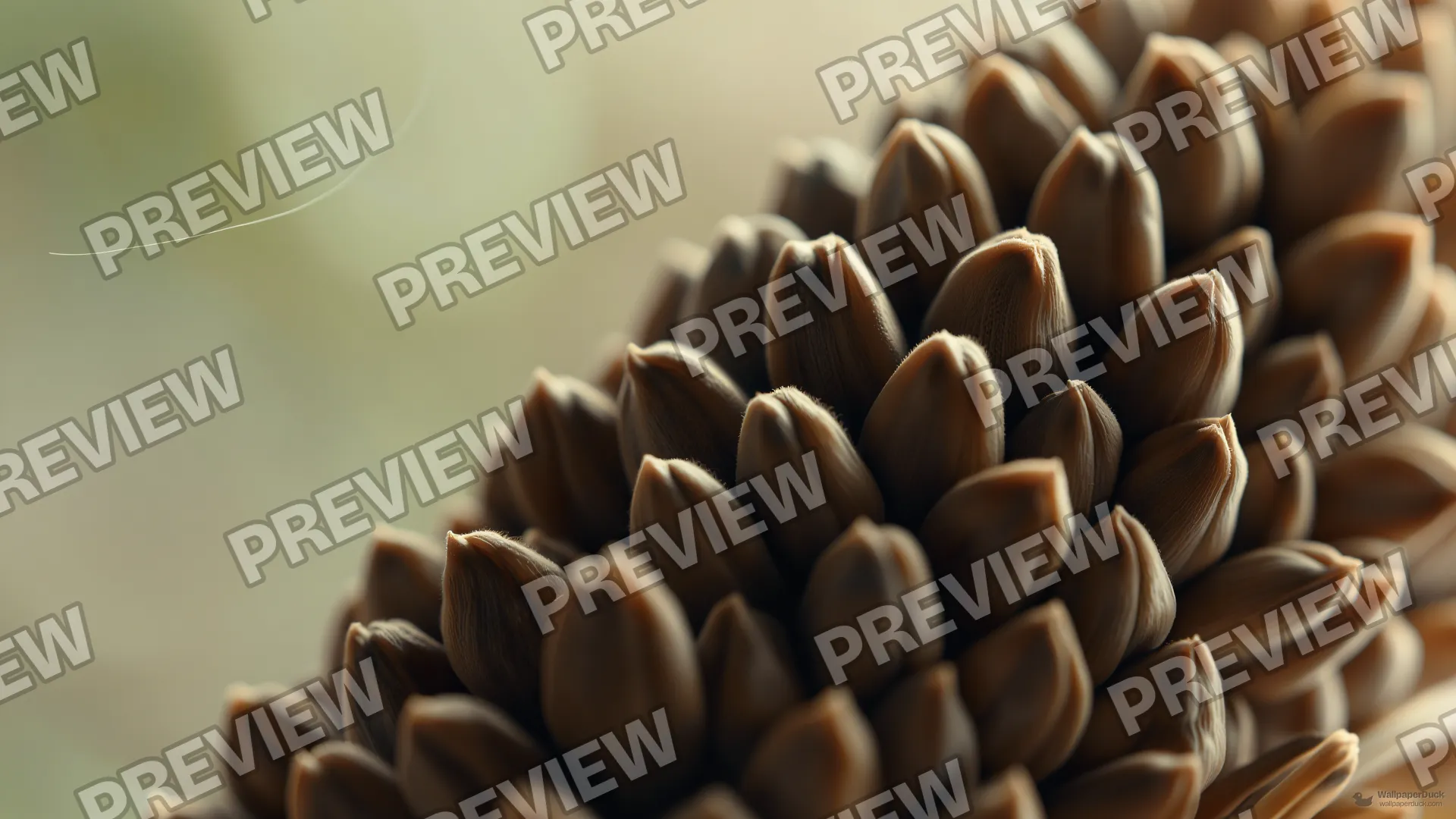 Dried Flaxseed Cluster Macro — Botanical macro 4K wallpaper