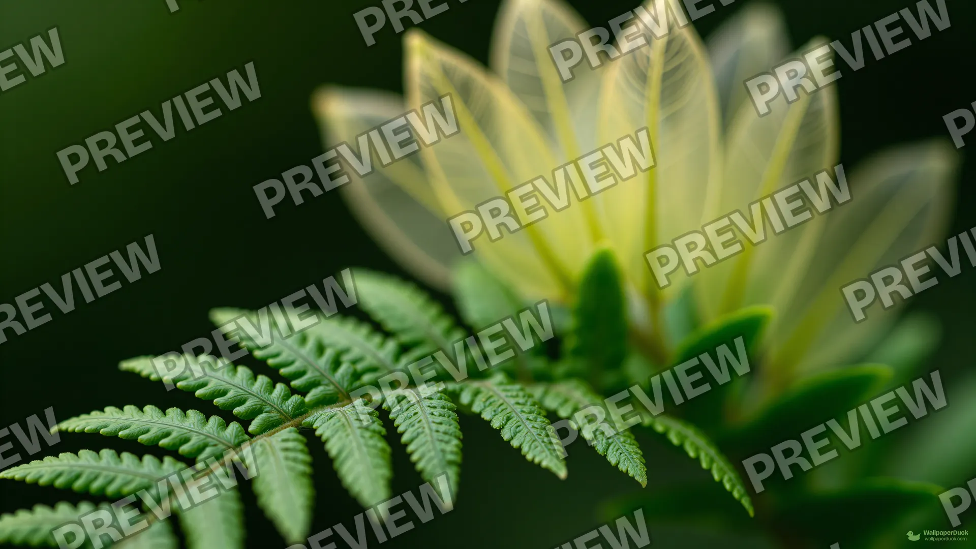 Fern Frond Macro — Botanical macro 4K wallpaper