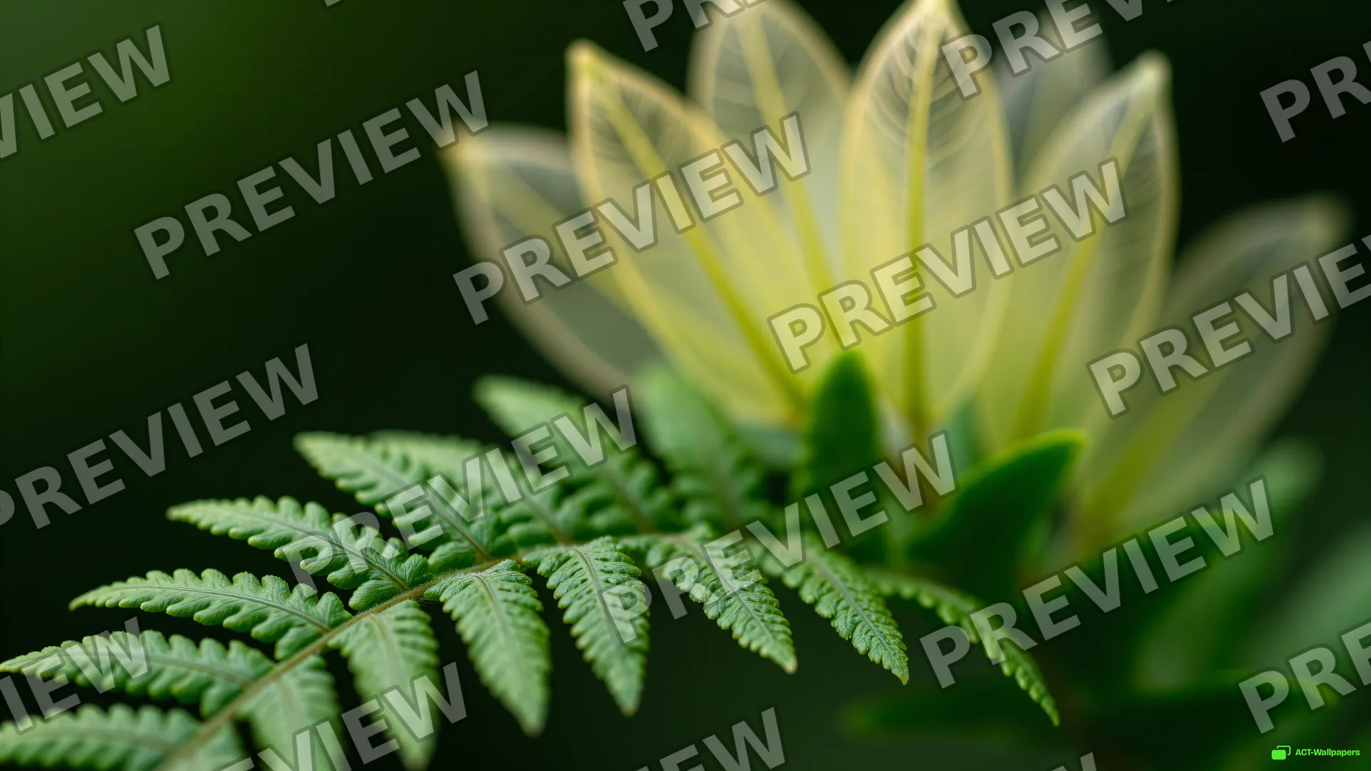 Fern Frond Macro — Botanical macro 4K wallpaper