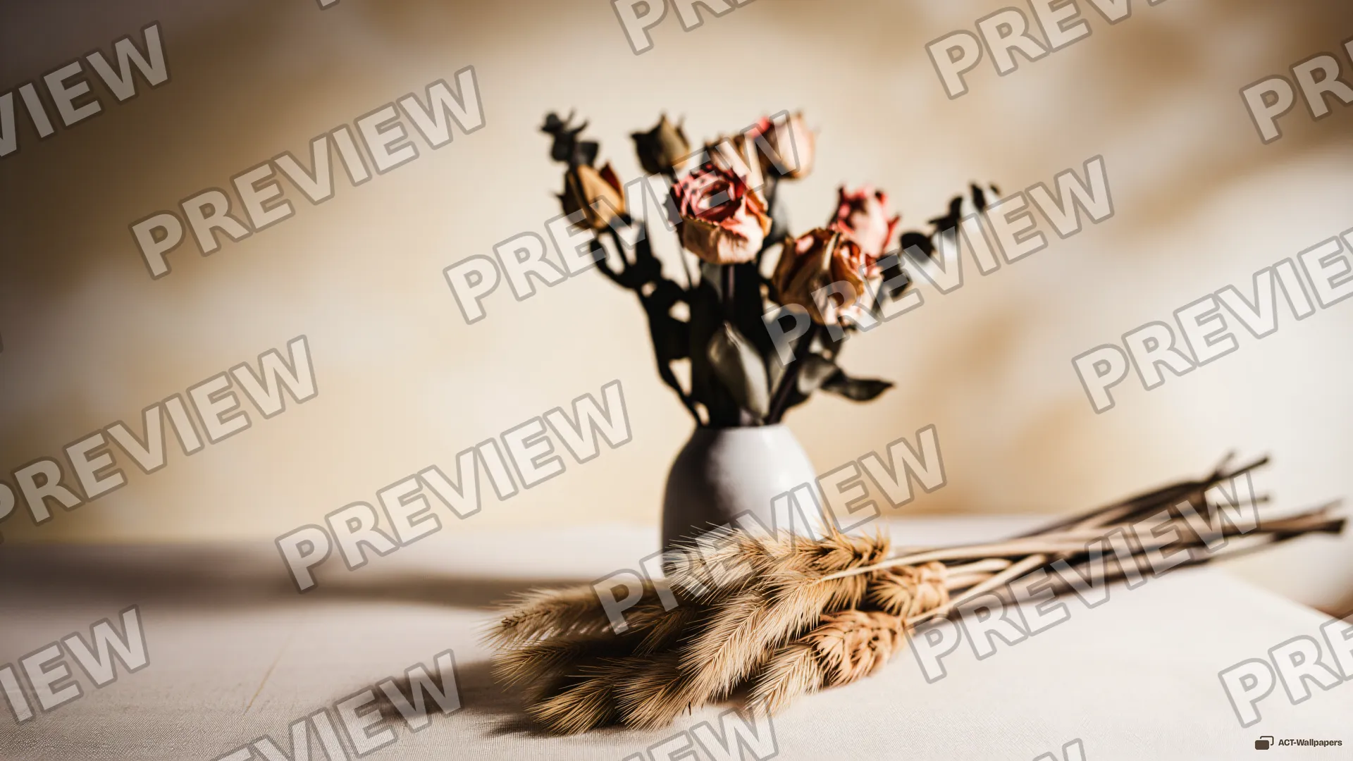 Dried Botanical Still Life — Dried flower arrangements 4K wallpaper
