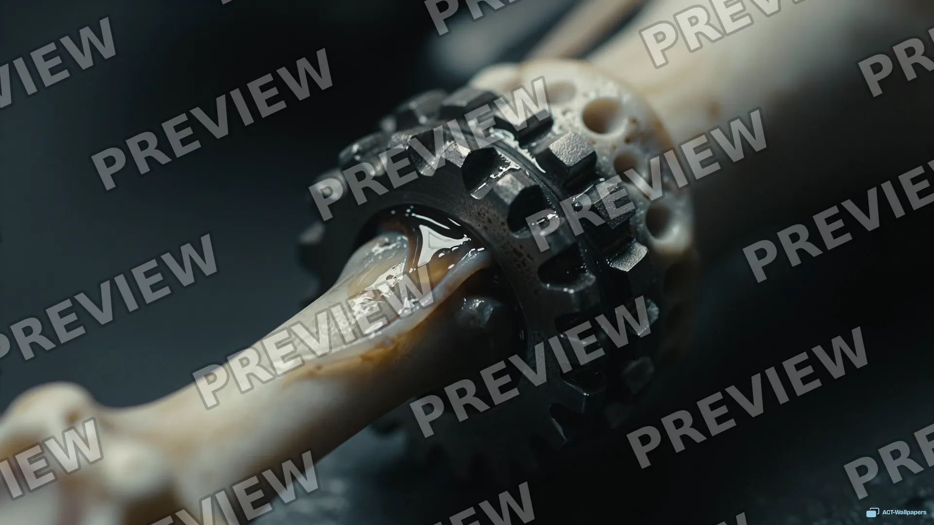 Biomechanical Joint Macro — Organic machines 4K wallpaper