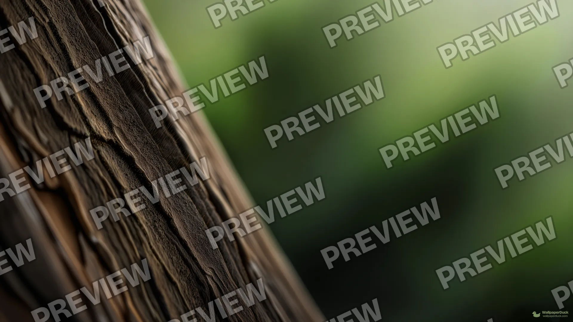 Mossy Oak Bark Macro — Botanical macro 4K wallpaper