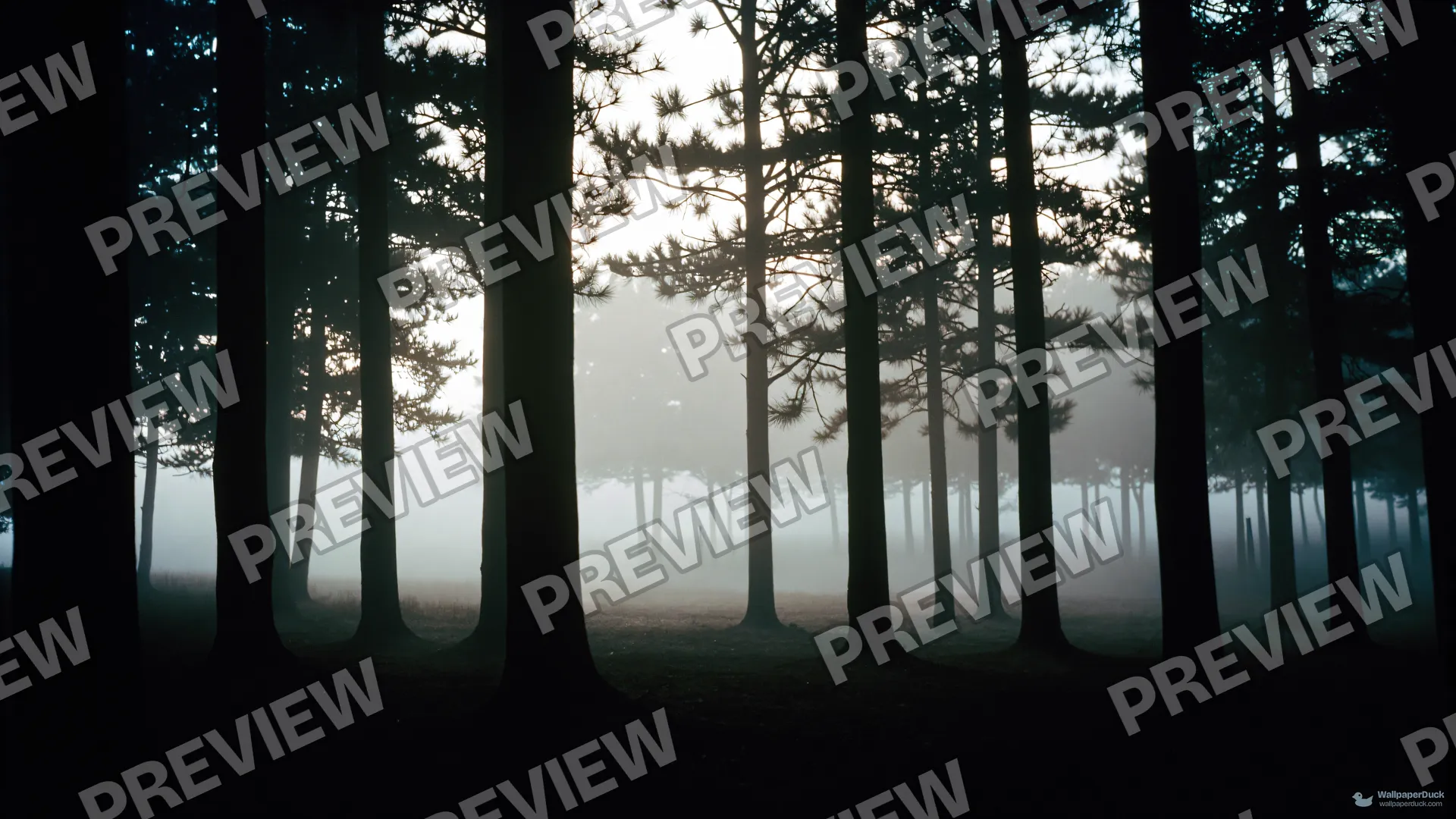 Twisted Pine Mist — Layered silhouettes 4K wallpaper