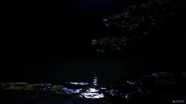 Midnight Pine Reflection — Japanese aesthetic 4K wallpaper