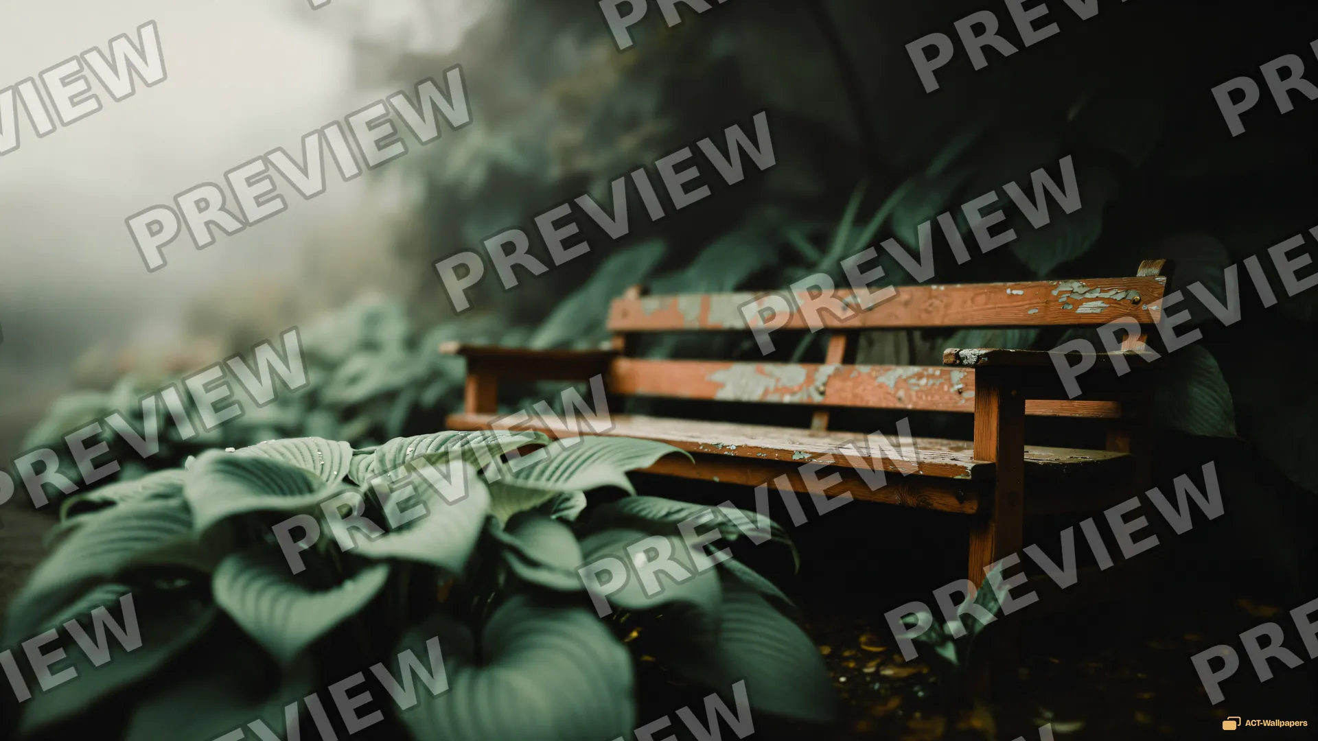 Weathered Garden Bench — Sage atmosphere 4K wallpaper