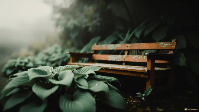Weathered Garden Bench — Sage atmosphere 4K wallpaper