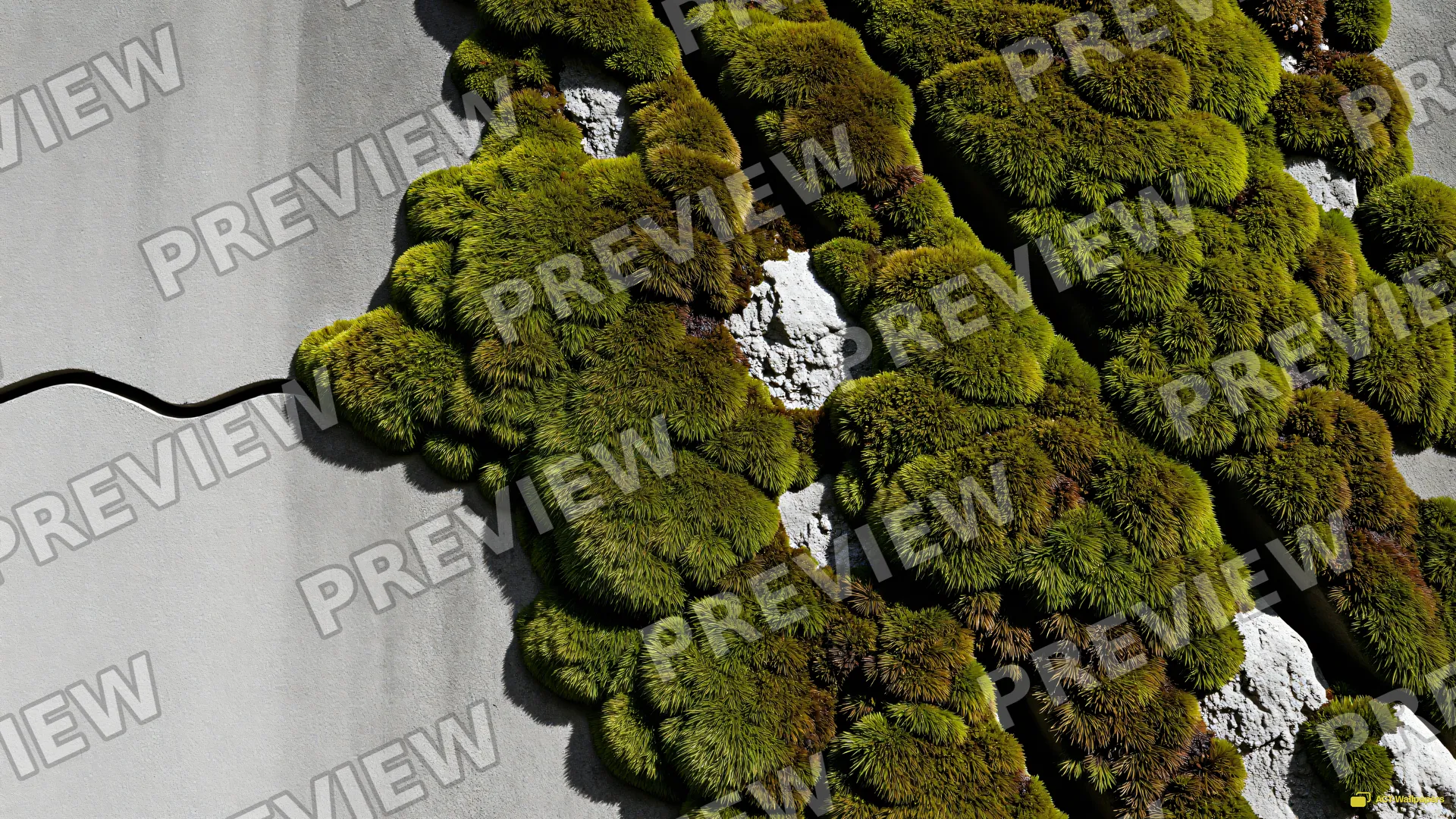 Concrete Moss Macro — Rustic concrete texture 4K wallpaper