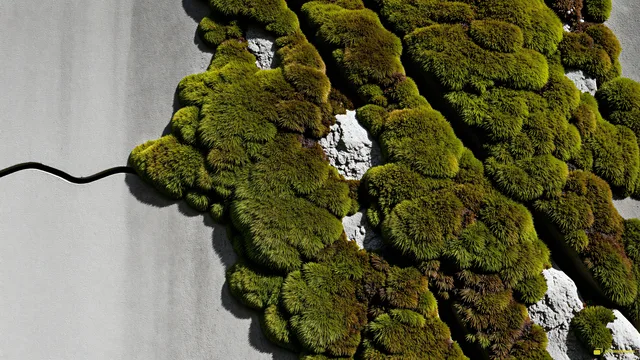 Concrete Moss Macro — Rustic concrete texture 4K wallpaper