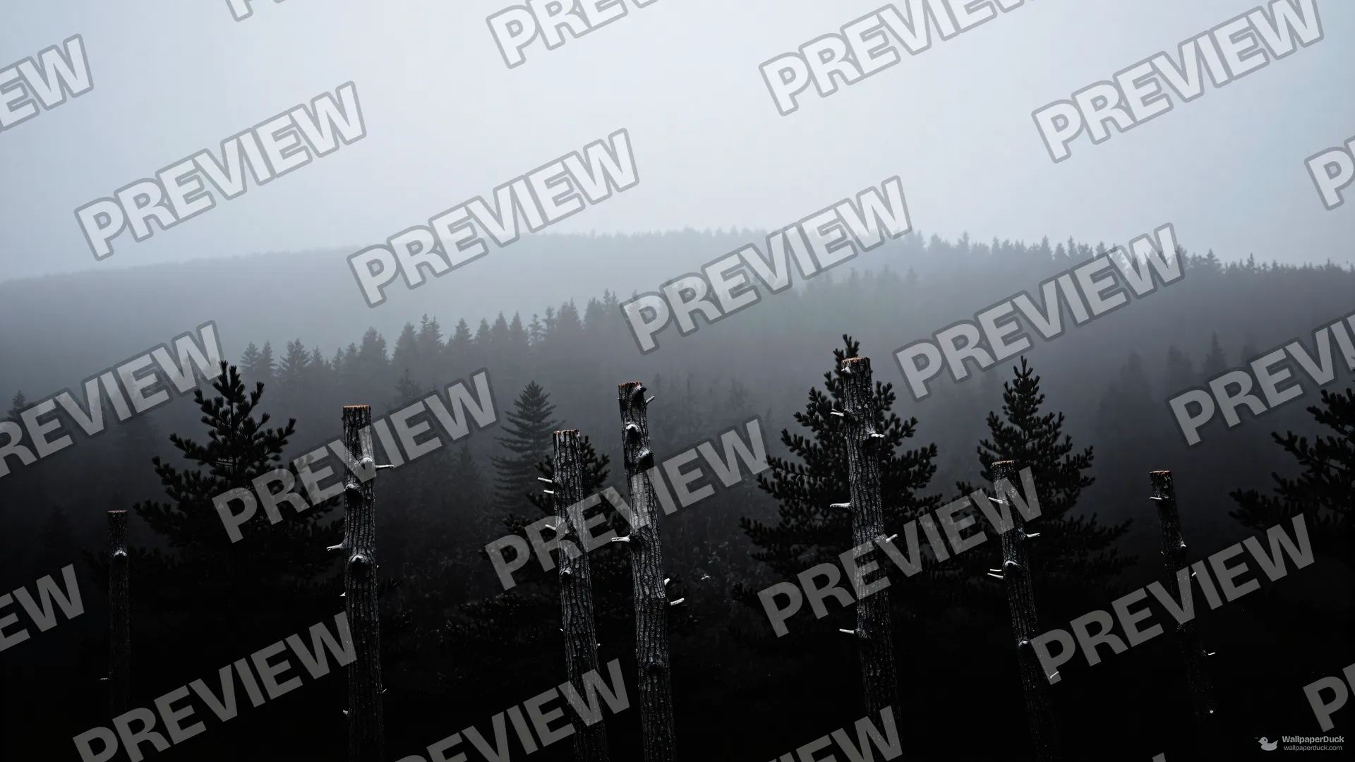 Skeletal Pine Depths — Layered silhouettes 4K wallpaper