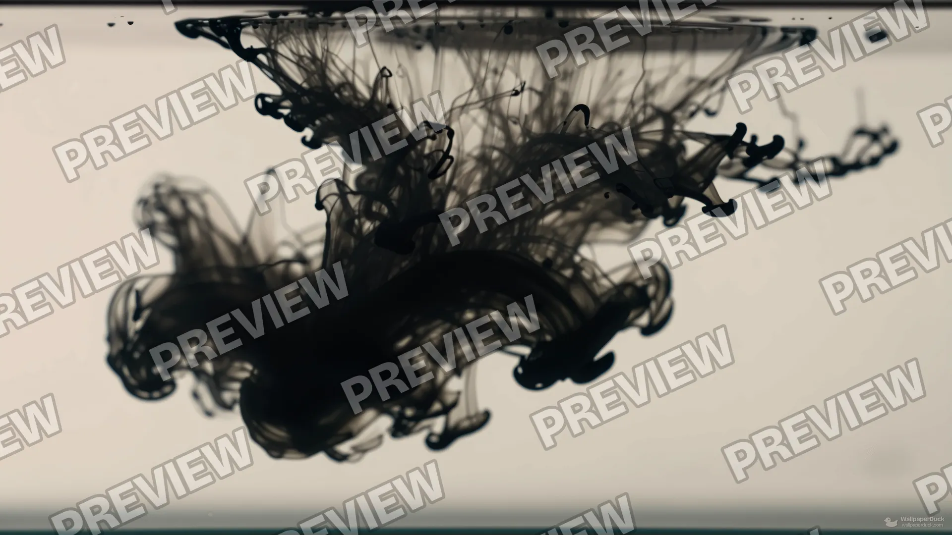 Charcoal Dispersion in Void — Abstract fluid 4K wallpaper