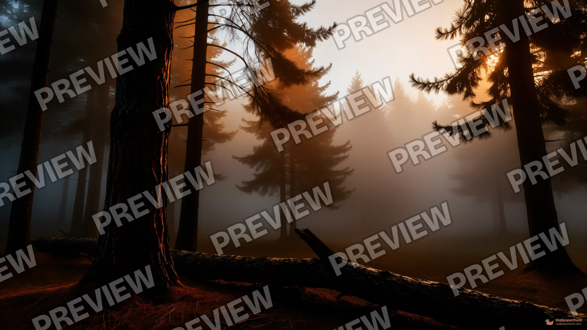Mist Choked Pines — Layered silhouettes 4K wallpaper