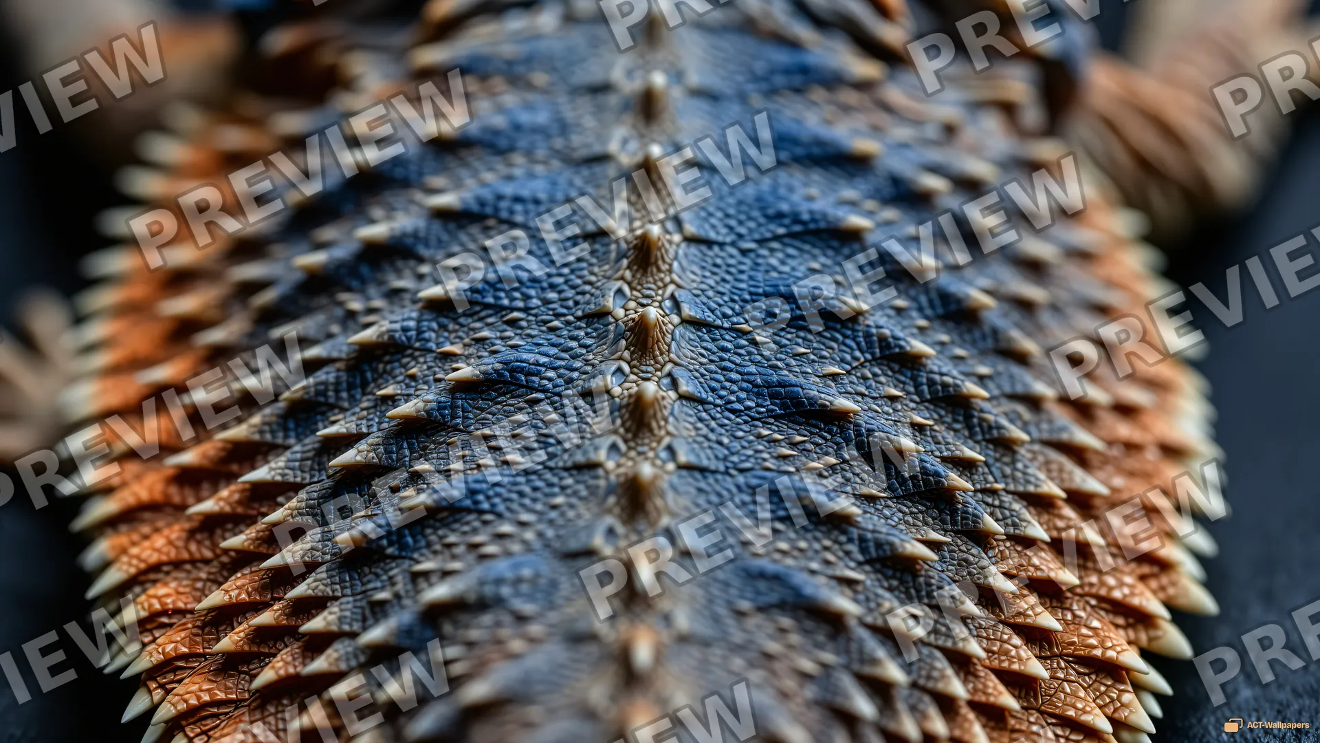 Dorsal Ridge Macro — Lizard scales 4K wallpaper