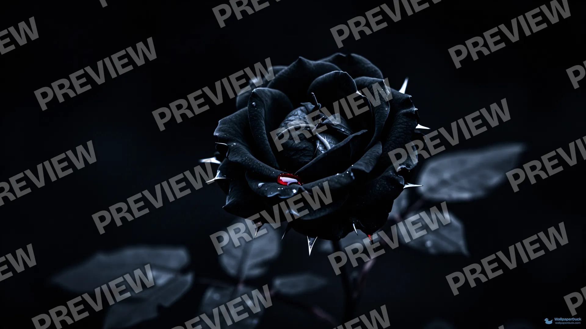 Black Thorn Decay — Seasonal palette 4K wallpaper