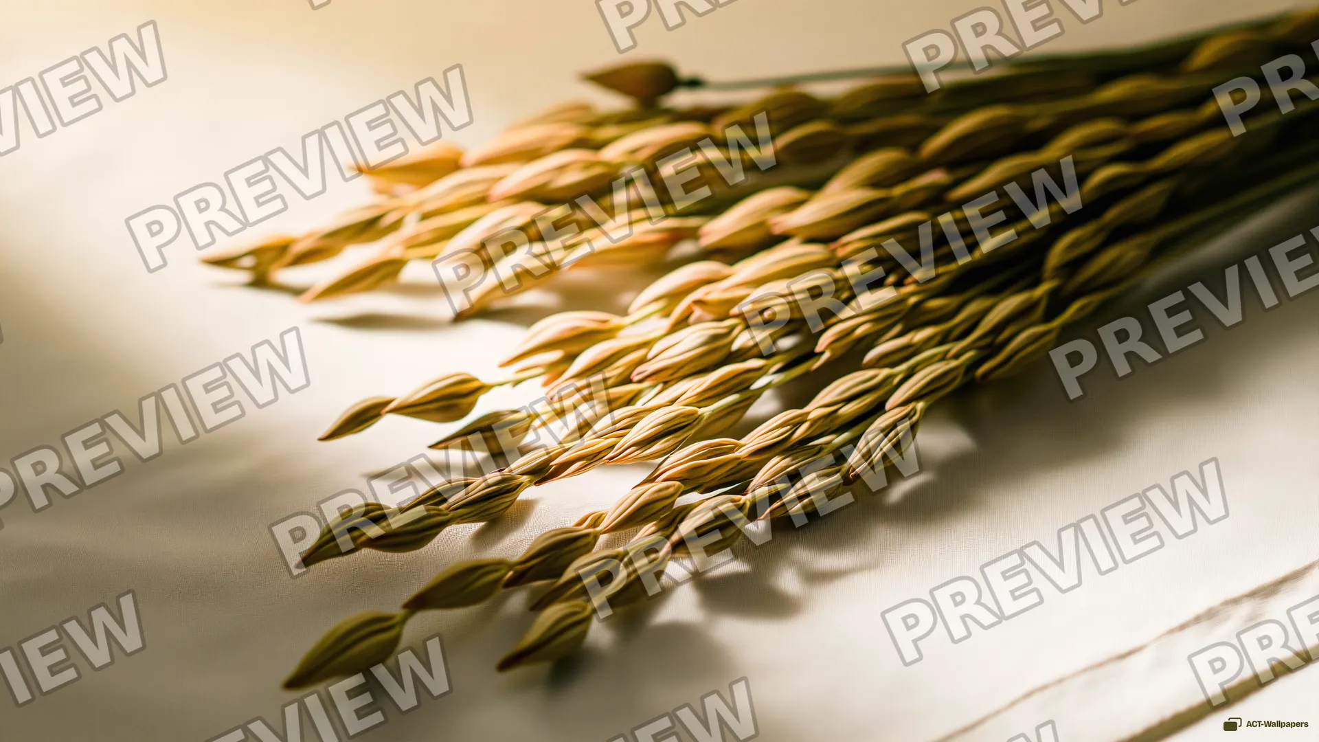 Scattered Dried Botanicals — Dried flower arrangements 4K wallpaper