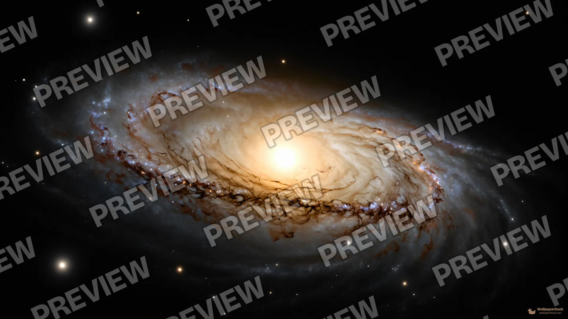 Andromeda Deep Field — Cosmic & astrophotography 4K wallpaper
