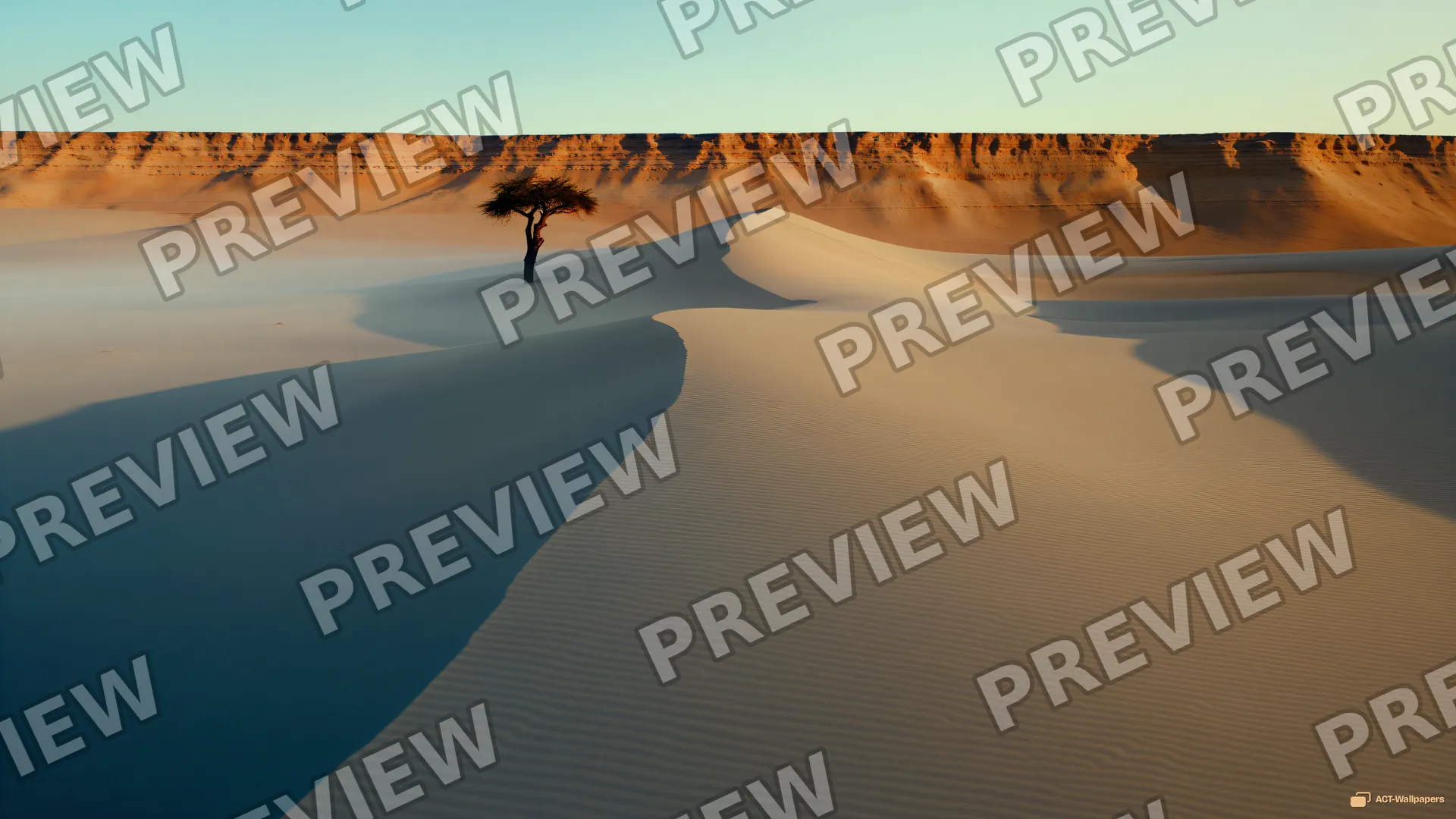 Dune Ridge at Low Sun — Desert 4K wallpaper