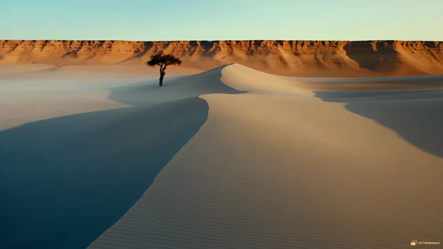 Dune Ridge at Low Sun — Desert 4K wallpaper