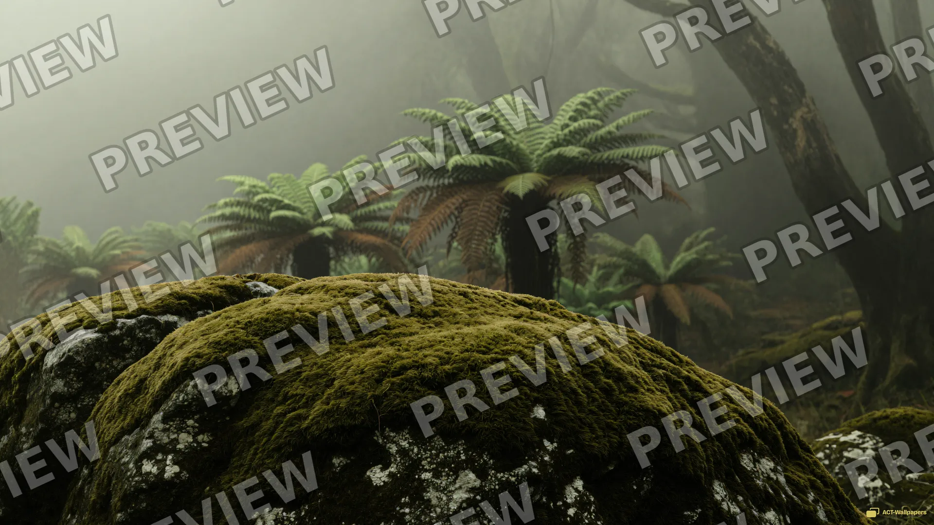 Mossy Sage Forest — Sage atmosphere 4K wallpaper