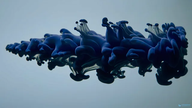 Indigo Ink Dispersion — Abstract fluid 4K wallpaper