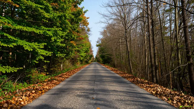 The Vertical Season Divide — Two seasons 4K wallpaper