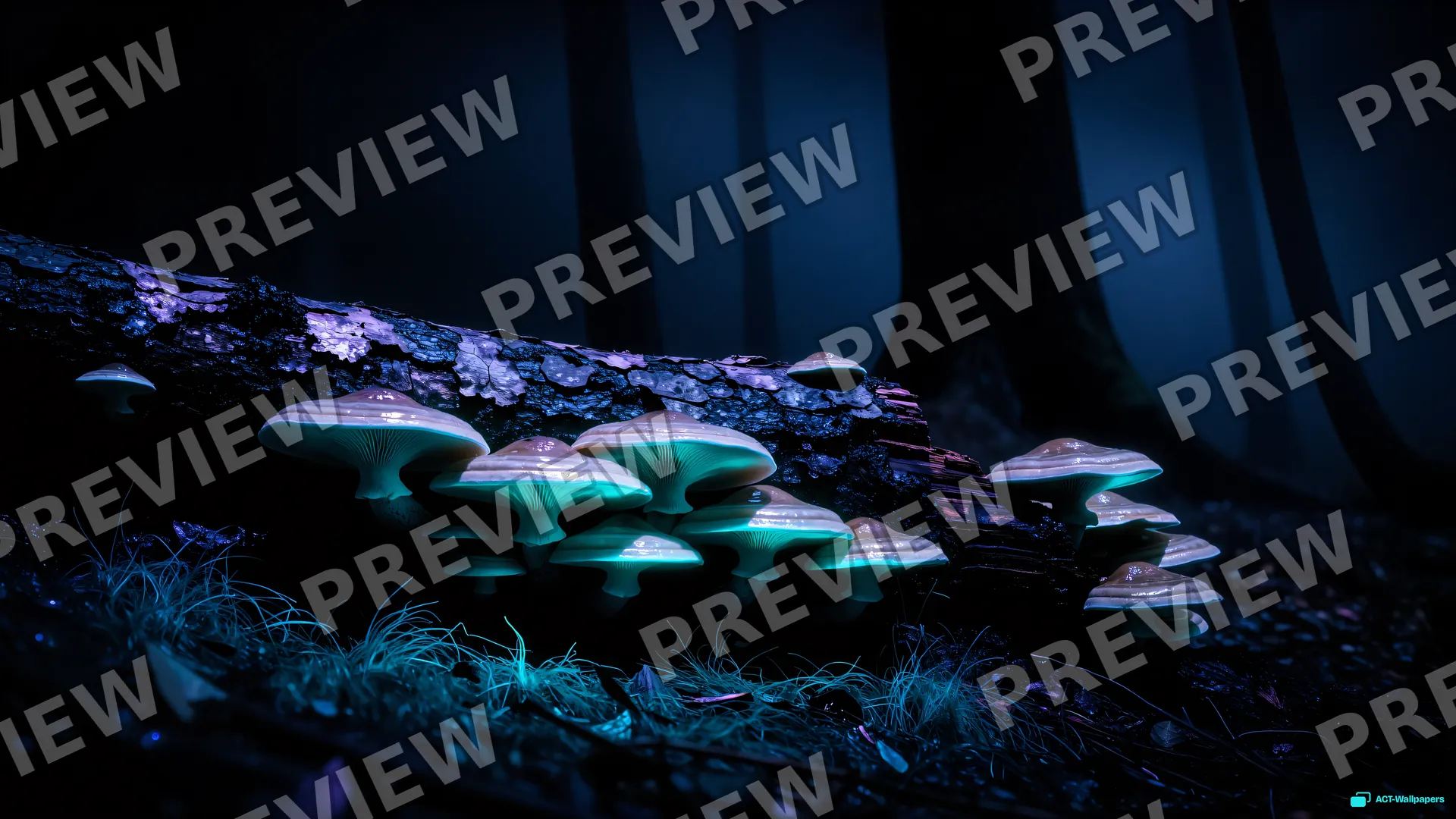 Fungal Glow in Deep Woods — Bioluminescence 4K wallpaper