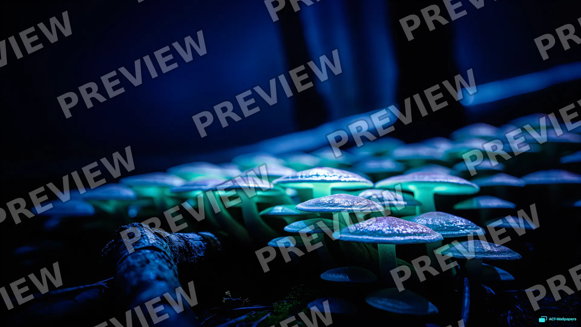 Mycelial Night Glow — Bioluminescence 4K wallpaper