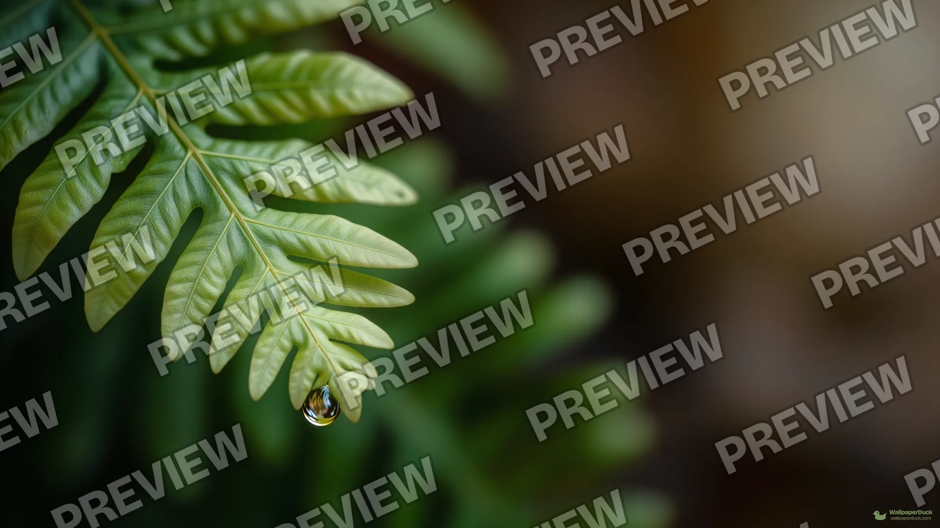 Translucent Fern Macro — Botanical macro 4K wallpaper