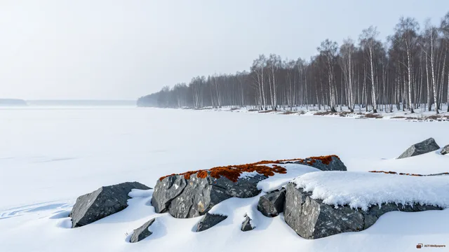 Late Winter Bone Slate — Seasonal palette 4K wallpaper