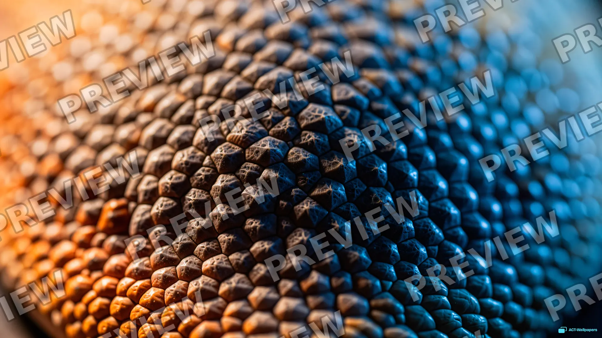 Bearded Dragon Scale Macro — Lizard scales 4K wallpaper