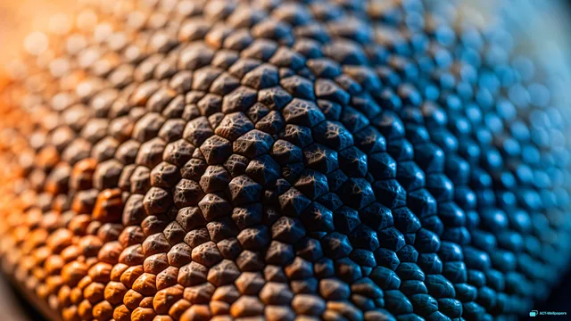 Bearded Dragon Scale Macro — Lizard scales 4K wallpaper