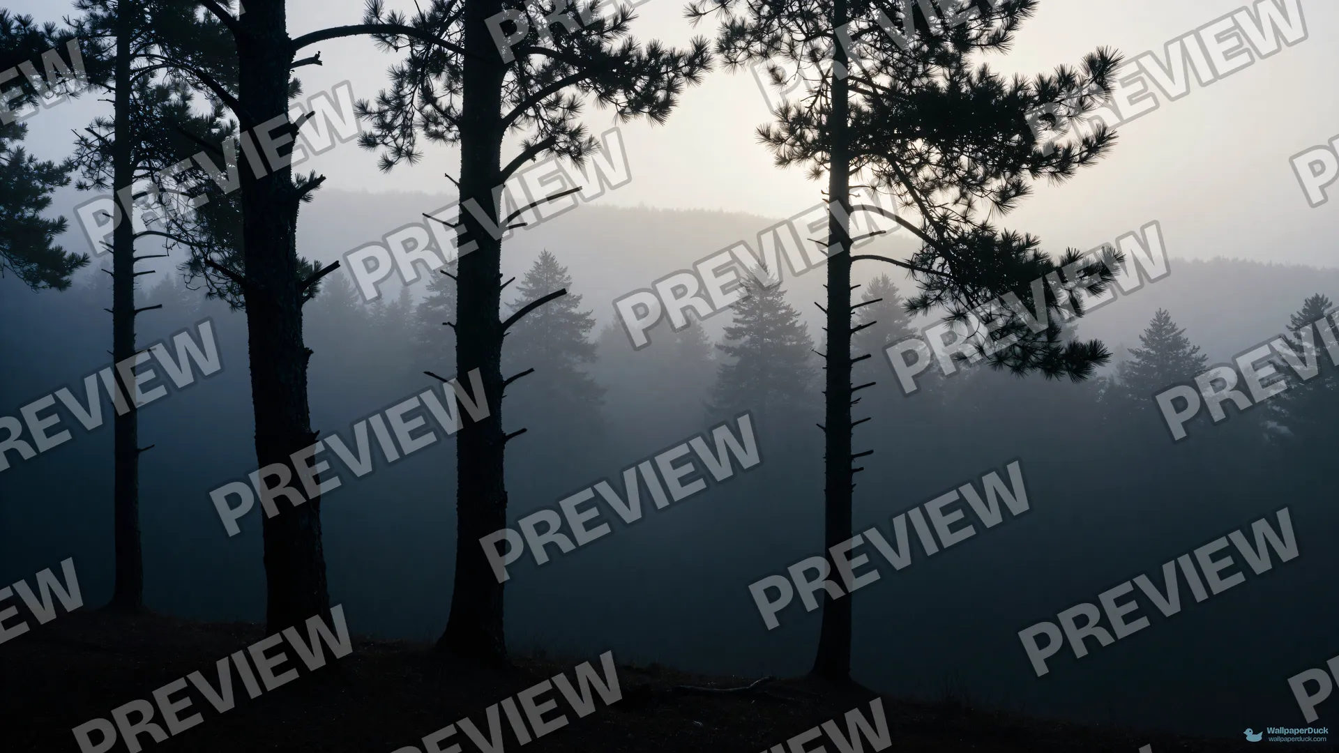 Skeletal Pine Depths — Layered silhouettes 4K wallpaper