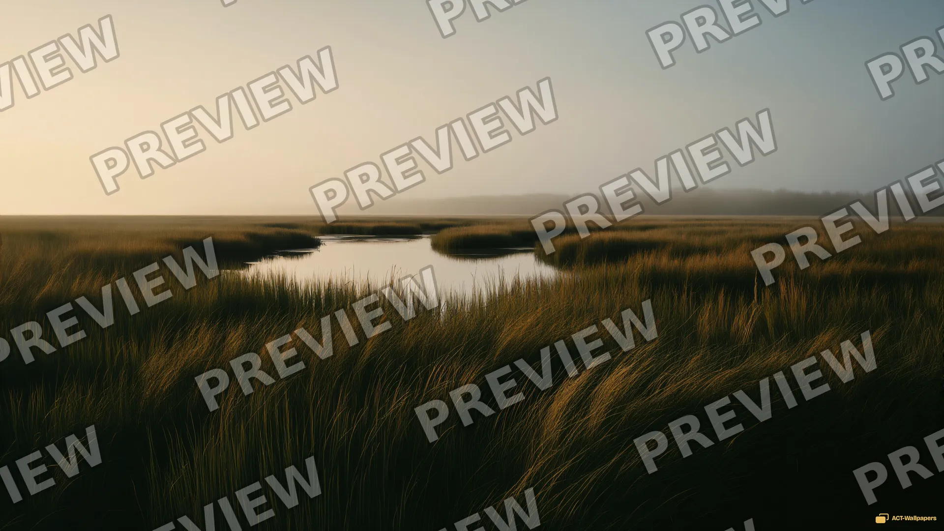 Misty Wetland Dusk — Sage atmosphere 4K wallpaper