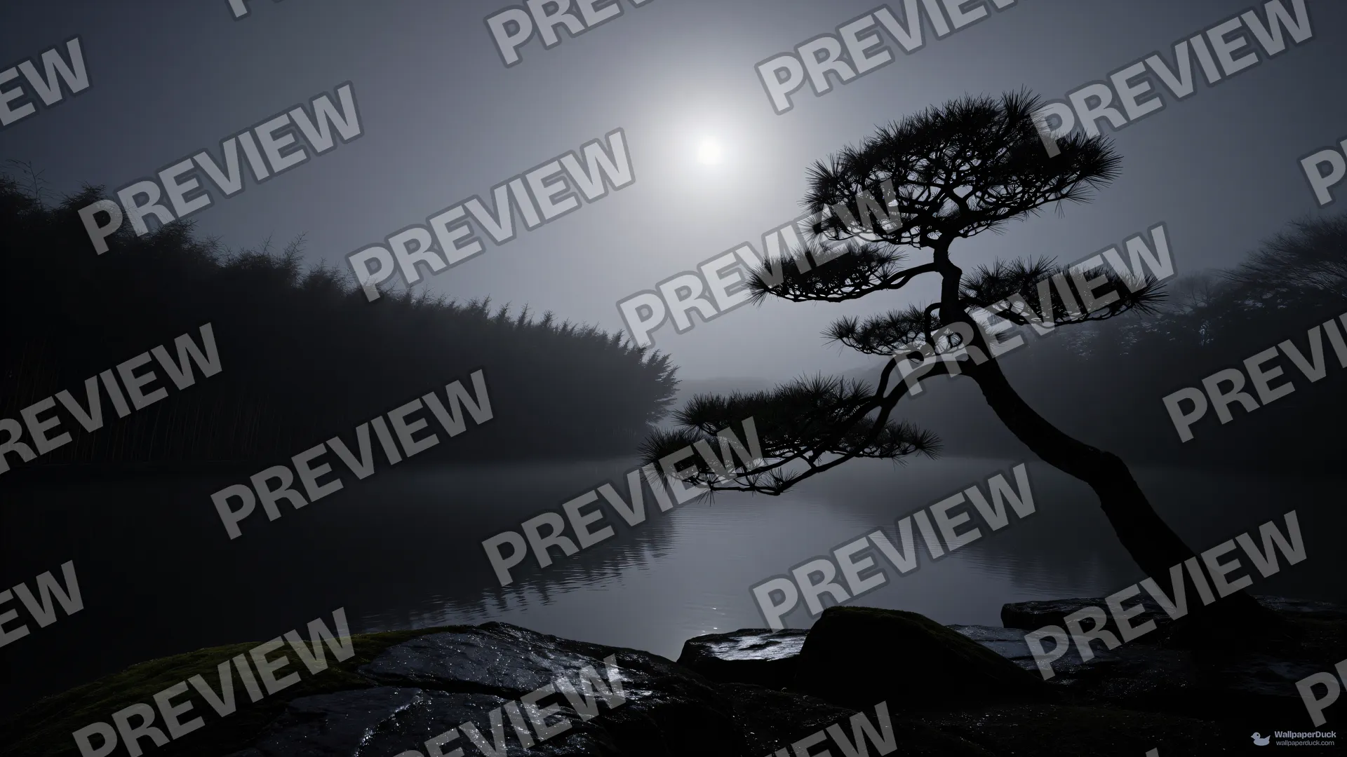 Midnight Pine Reflection — Layered silhouettes 4K wallpaper