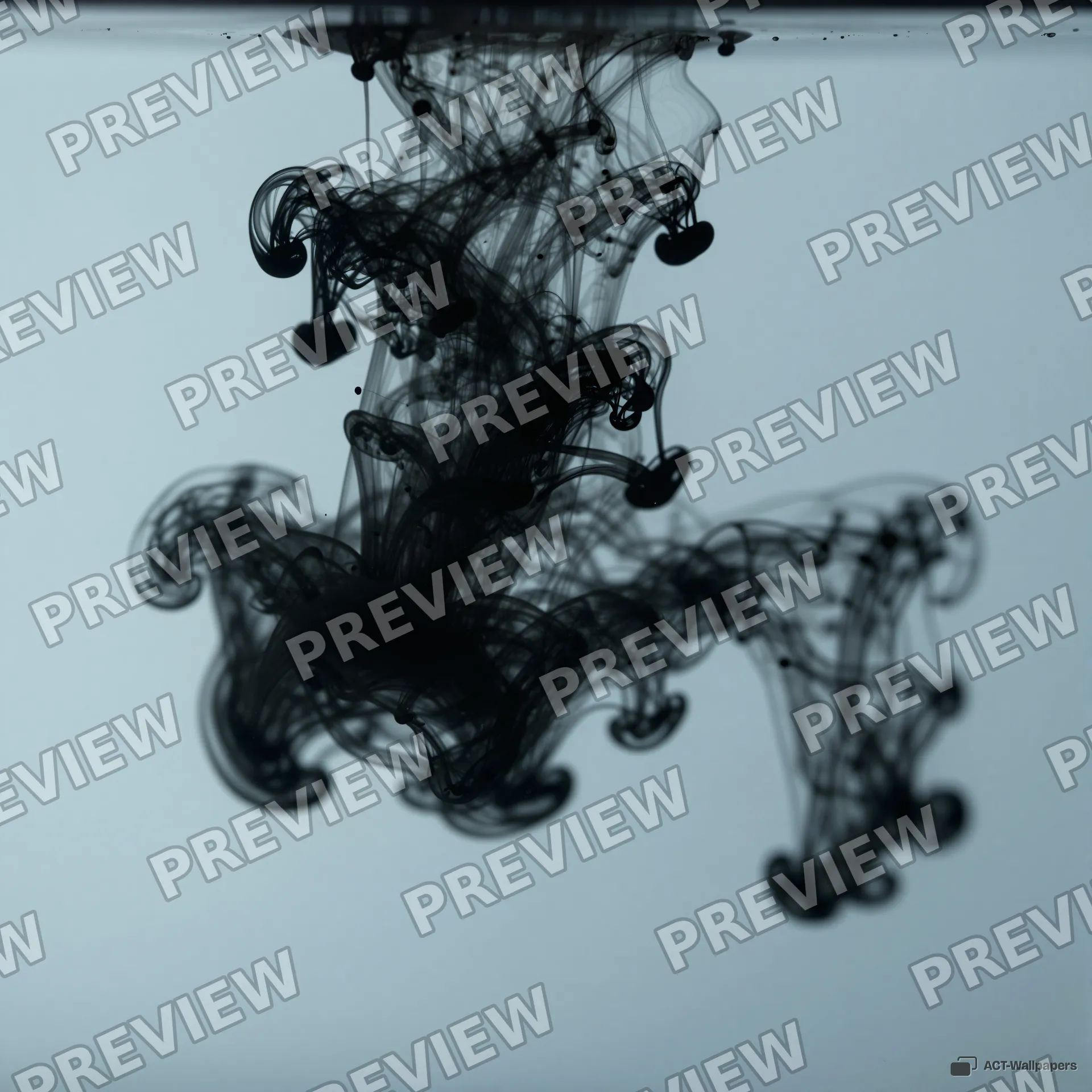 Ink Dispersal Study — Abstract fluid 4K wallpaper