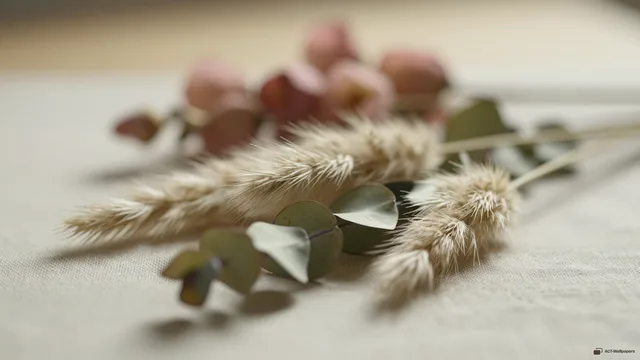 Dried Botanical Still Life — Dried flower arrangements 4K wallpaper