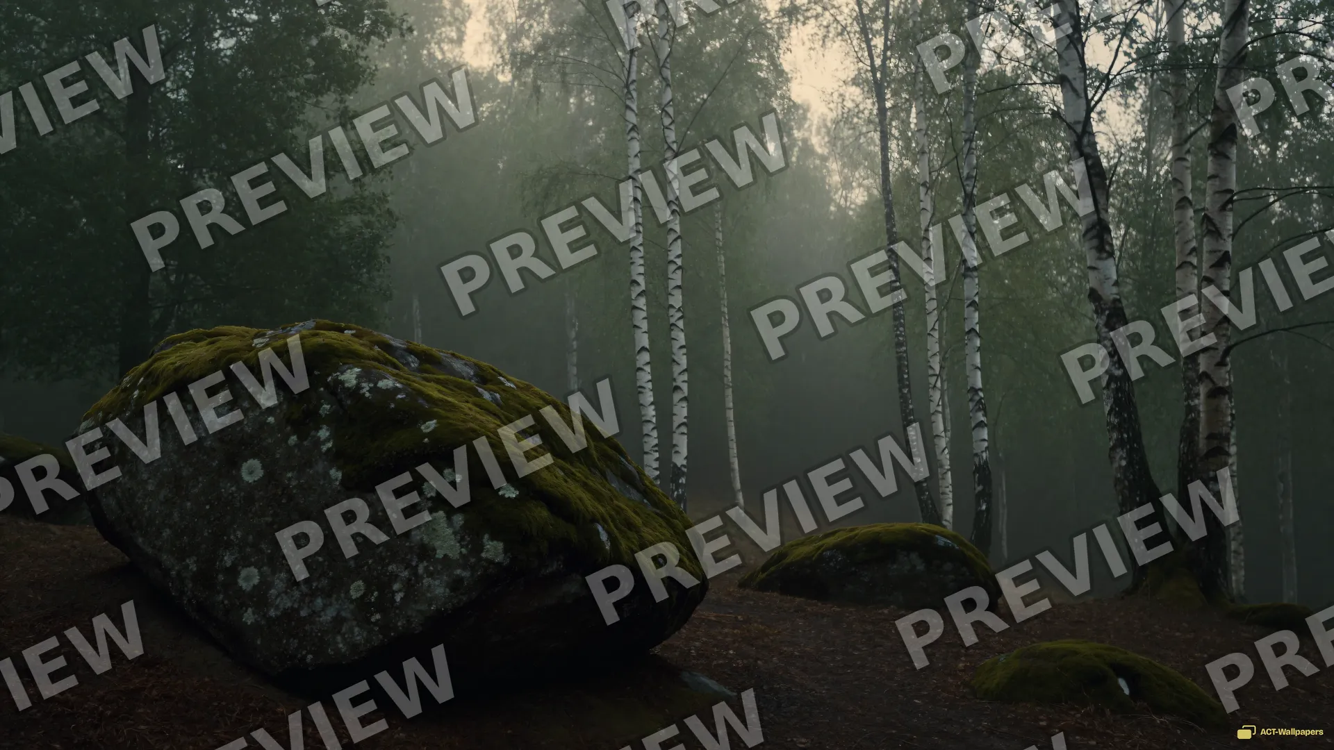 Sage Mist Forest — Sage atmosphere 4K wallpaper