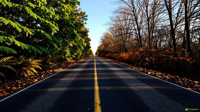 Bifurcated Seasonal Road — Two seasons 4K wallpaper