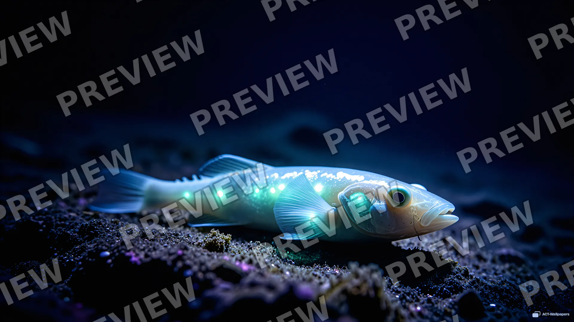 Deep Sea Anglerfish — Bioluminescence 4K wallpaper