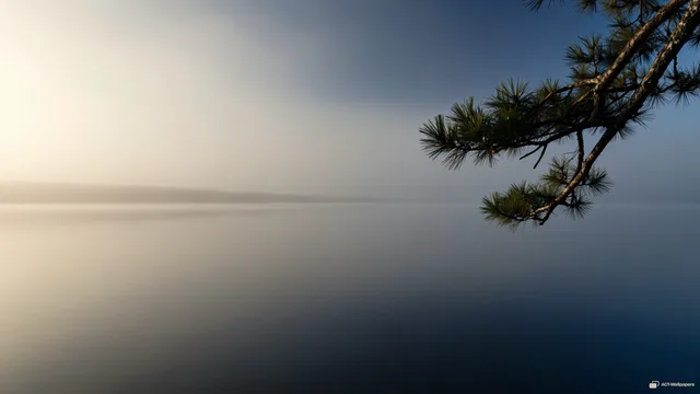 Pine Over Still Water — Japanese aesthetic 4K wallpaper